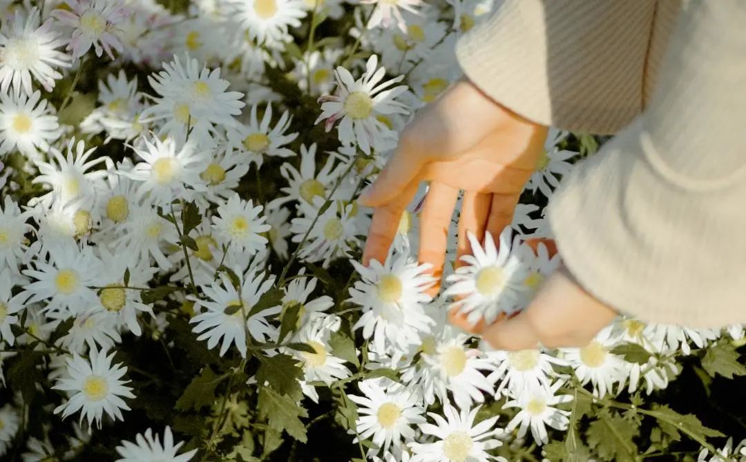 廣州裝修設(shè)計(jì) 廣州裝修設(shè)計(jì)